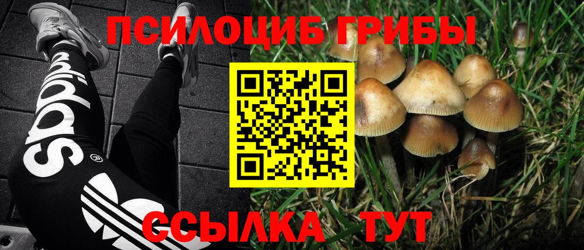 Галлюциногенные грибы MAGIC MUSHROOMS Барнаул